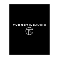 Turnstile Audio Windscreen for Picture