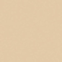 Rosco Roscolux #02 Bastard Amb Picture