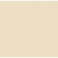 Rosco Cinegel sun 1/2 CTO, 48" Picture