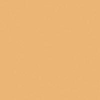 Rosco Sun Cinegal 3/4 CTO Filt Picture