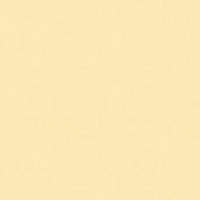 Rosco Roscolux #07 Pale Yellow Picture