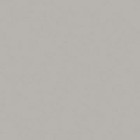 Rosco Roscolux #97 Light Gray  Picture