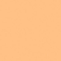 Rosco Roscolux #09 Pale Amber  Picture