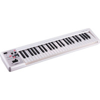 Roland A-49 MIDI Keyboard Cont Picture