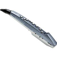 Roland Aerophone AE-01 Mini Di Picture