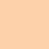 Rosco E-Color #205 1/2 CT Oran Picture