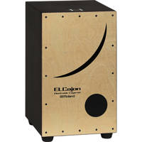 Roland ELCajon EC-10 Electroni Picture