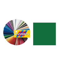 Rosco E-Colour #139 Primary Gr Picture