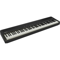 Roland FP-40 88-Key Portable D Picture