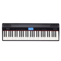 Roland GO-61P GO:PIANO 61-Keys Picture