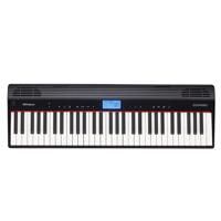 Roland GO-61P GO:PIANO 61-Keys Picture