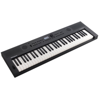 Roland GO:KEYS 5 61-Key Music  Picture