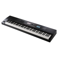Roland JUNO-D8 88-Key Keyboard Picture