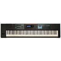 Roland JUNO-DS88 Gig-Ready 88- Picture