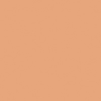 Rosco OPTI-FLECS 9331 - Warm B Picture