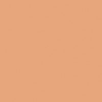 Rosco OPTI-FLECS 9331 - Warm B Picture