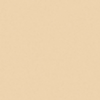 Rosco OPTI-FLECS 9421 - Golden Picture