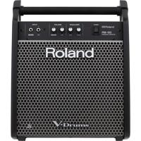 Roland PM-100 80W Personal Dru Picture