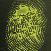 Safariland Basic Yellow 40 Pre Picture