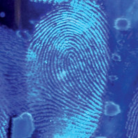 Safariland CyanoBlue, 16 oz Picture