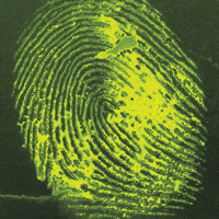 Safariland Basic Red 28 for La Picture