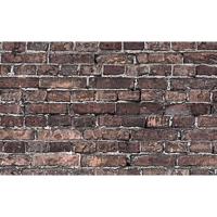 Savage Printed Background Pape Picture