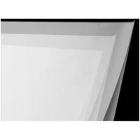 Savage Translum Backdrop, 12x1 Picture