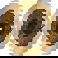 Sabian 16" AAX El Sabor Picant Picture