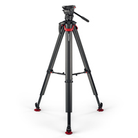 Sachtler Ace XL MK II Fluid He Picture