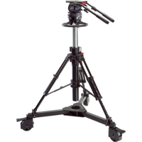 Sachtler Video 25 Plus FB Flui Picture