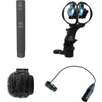 Schoeps CMC641 RAD-2 Set Colet Picture