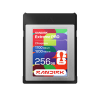 SanDisk Extreme PRO FIFA World Picture