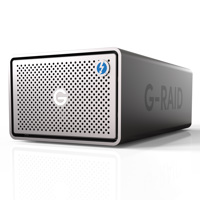 SanDisk Professional G-RAID 2 Picture