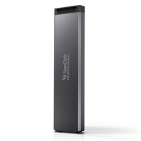 SanDisk Professional PRO-BLADE Picture