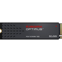 SanDisk Optimus 5100 NVMe PCIe Picture