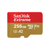 SanDisk GamePlay 256GB UHS-I U Picture