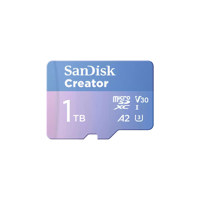 SanDisk Creator Series 1TB UHS Picture