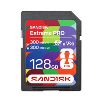 SanDisk Extreme PRO FIFA World Picture