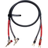 Sescom Canare 4S11 6' Banana P Picture