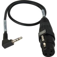 Sescom 18" XLR Mic to DSLR Aud Picture