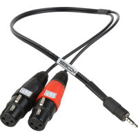 Sescom 3' Dual Female XLR to 3.5mm TRRS Plug-Line to Mic Level Summing Cable