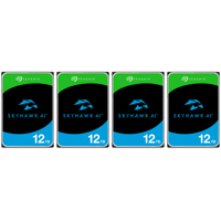 Seagate SkyHawk AI SATA III 3. Picture