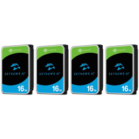 Seagate SkyHawk AI SATA III 3. Picture