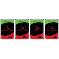 Seagate IronWolf Pro SATA III  Picture