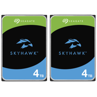 Seagate SkyHawk 4TB SATA III 3 Picture