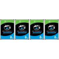 Seagate SkyHawk AI SATA III 3. Picture