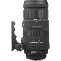 Sigma 120-400mm f/4.5-5.6 DG A Picture