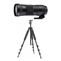 Sigma 150-600mm f/5-6.3 DG OS  Picture