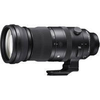 Sigma 150-600mm f/5-6.3 DG DN  Picture