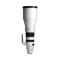 Sigma 300-600mm f/4 DG OS Spor Picture